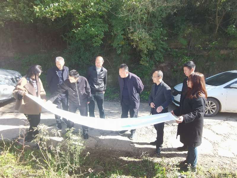 市政协苟兴国委员工作室开展政协提案 专题调研活动